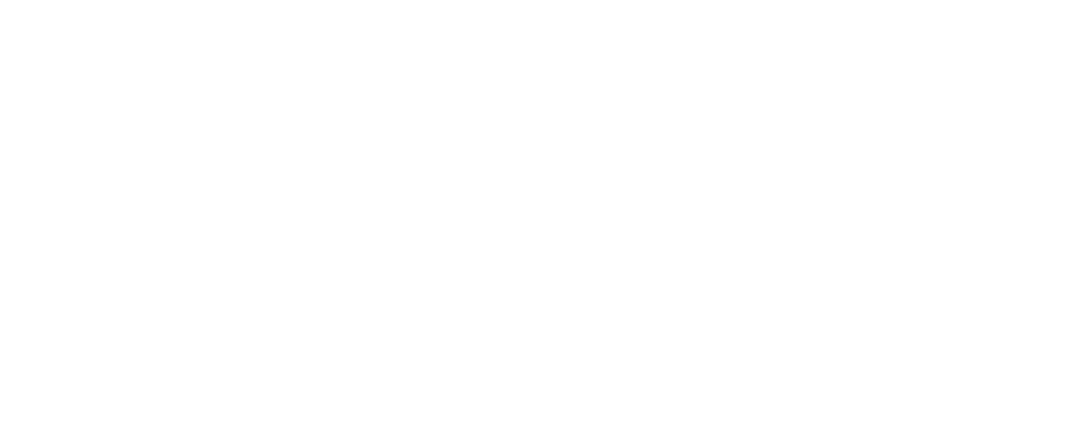 20 años de experiencia