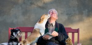 Los beneficios fisicos y psicologicos de tener un perro en casa